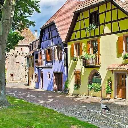 La Maison Jaune Wintzenheim