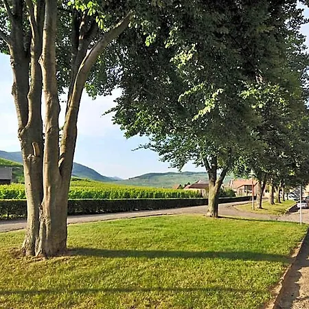 Hotel La Maison Jaune 3*
