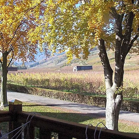 La Maison Jaune 3* Wintzenheim